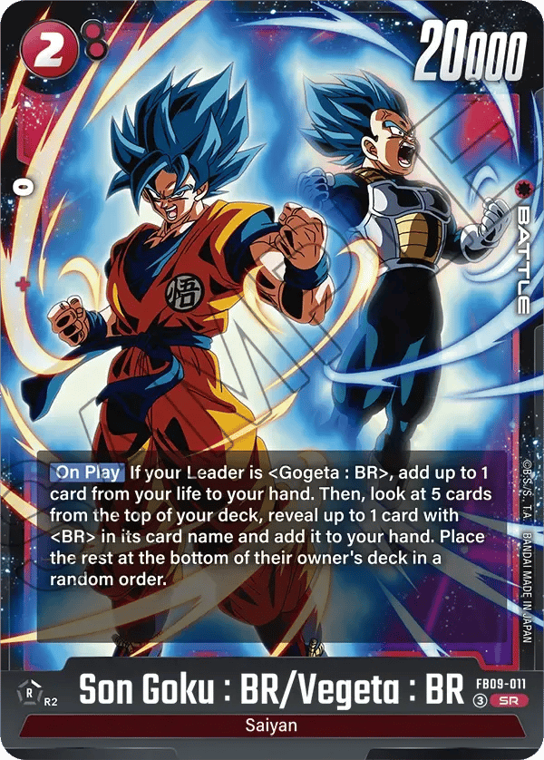 Son Goku : BR/Vegeta : BR